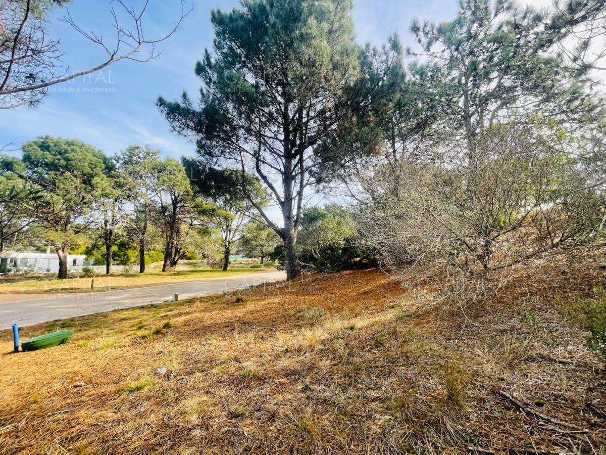 Terreno ID.32228 - Lote en venta en José Ignacio 