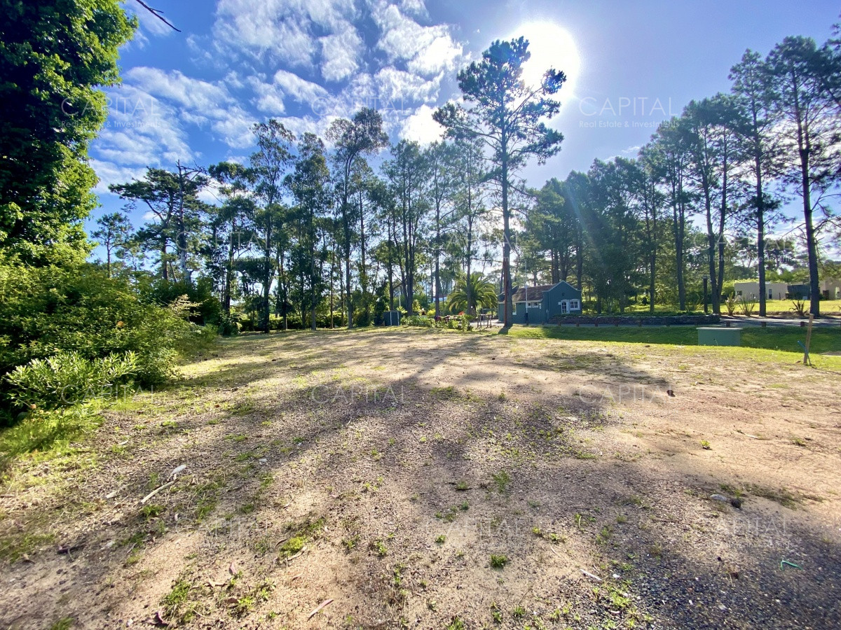 Lote en venta en Barrio Privado Punta del Este - CCP33595T
