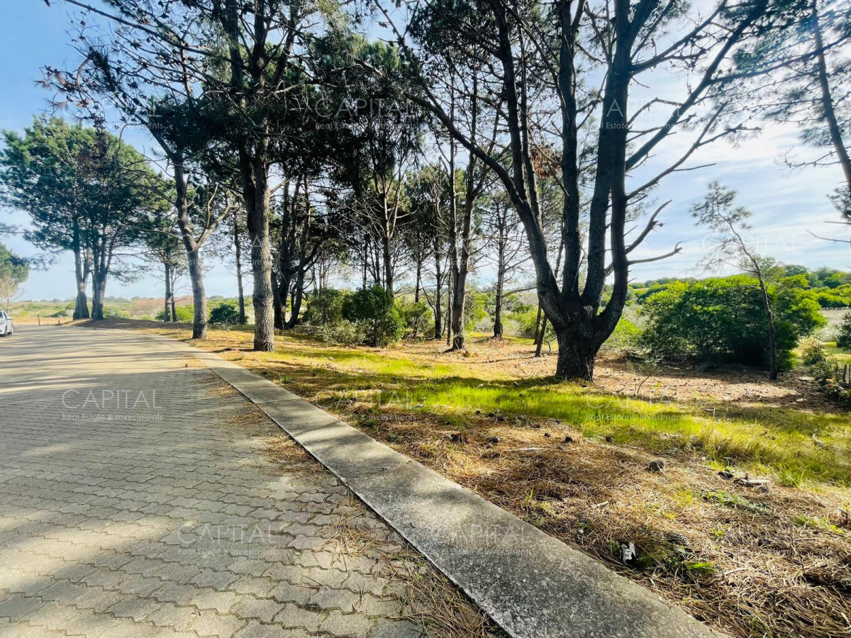 Terreno ID.32224 - Lote en venta en Laguna Escondida José Ignacio 