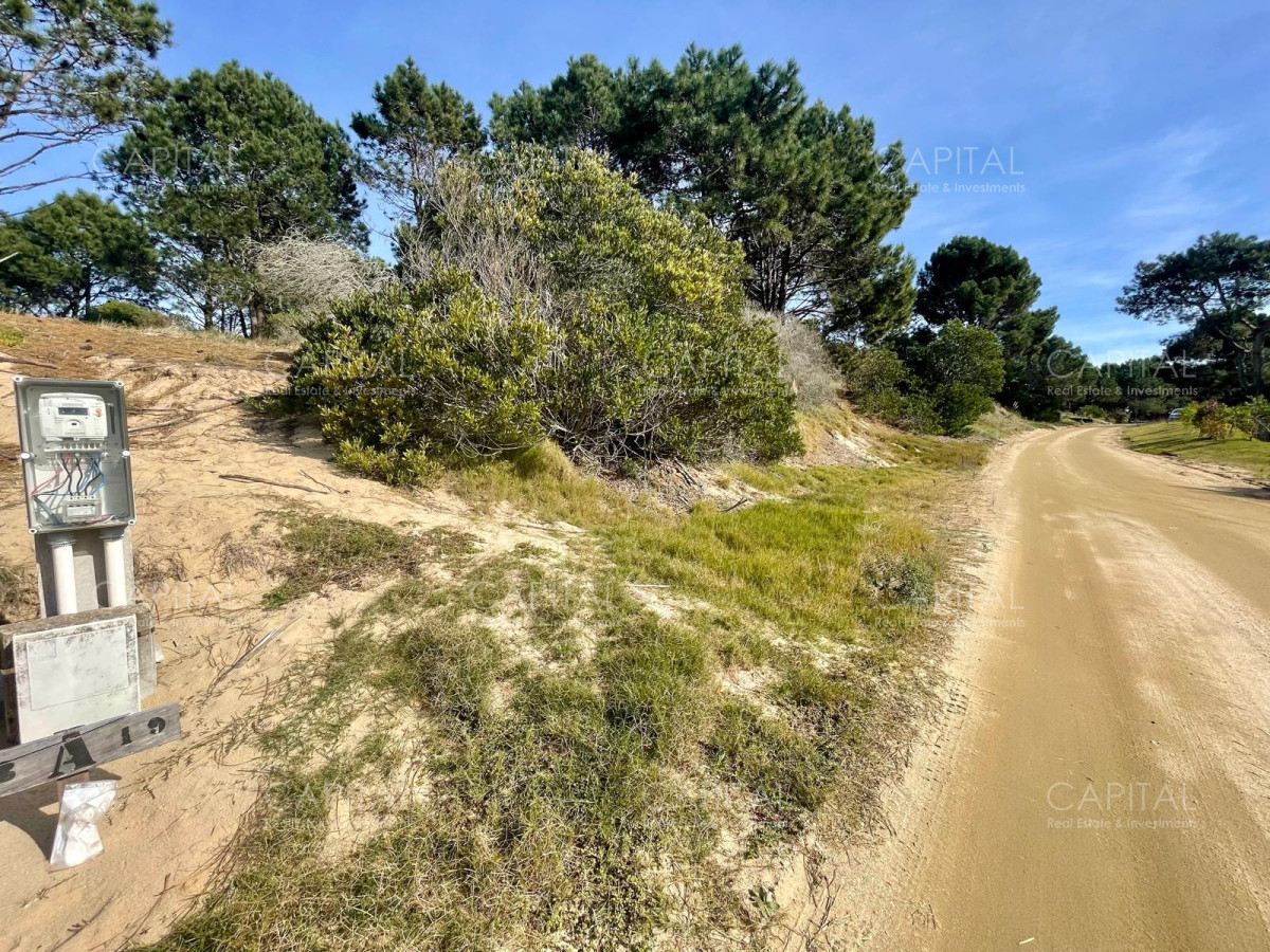 Terreno ID.38235 - Laguna Escondida barrio cerrado en José Ignacio 