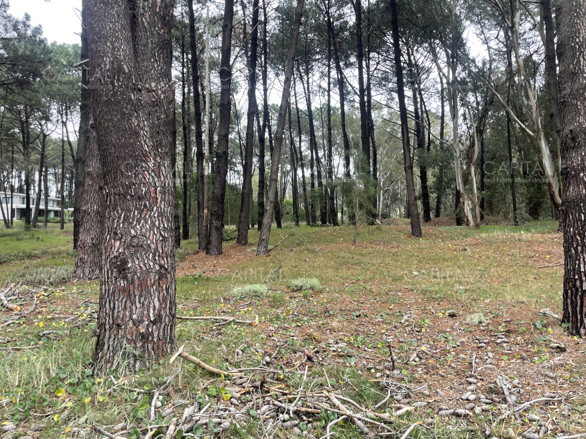 Terreno ID.38486 - Lote en venta en Reserva Montoya segunda linea de Laguna