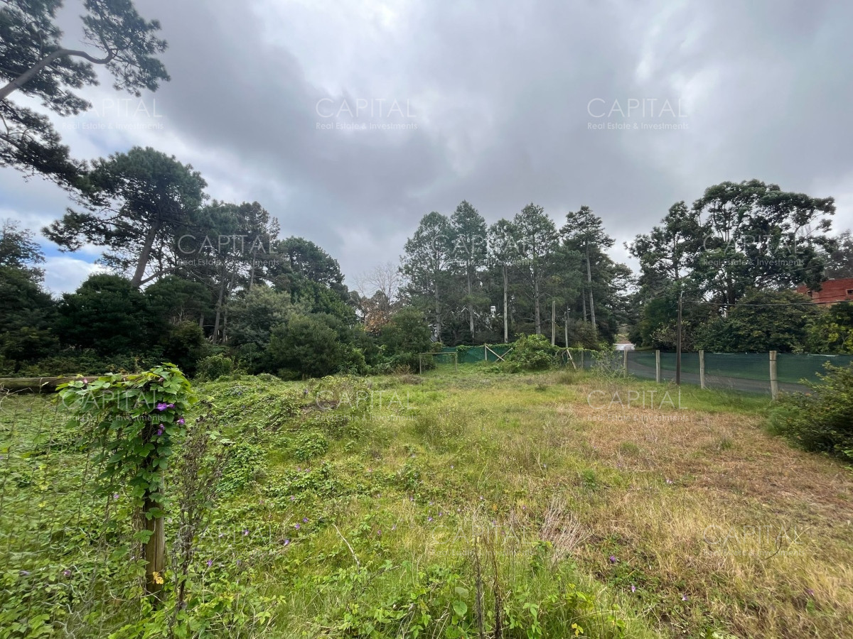 Terreno ID.36263 - Terreno en venta en el Golf de Punta Del Este 