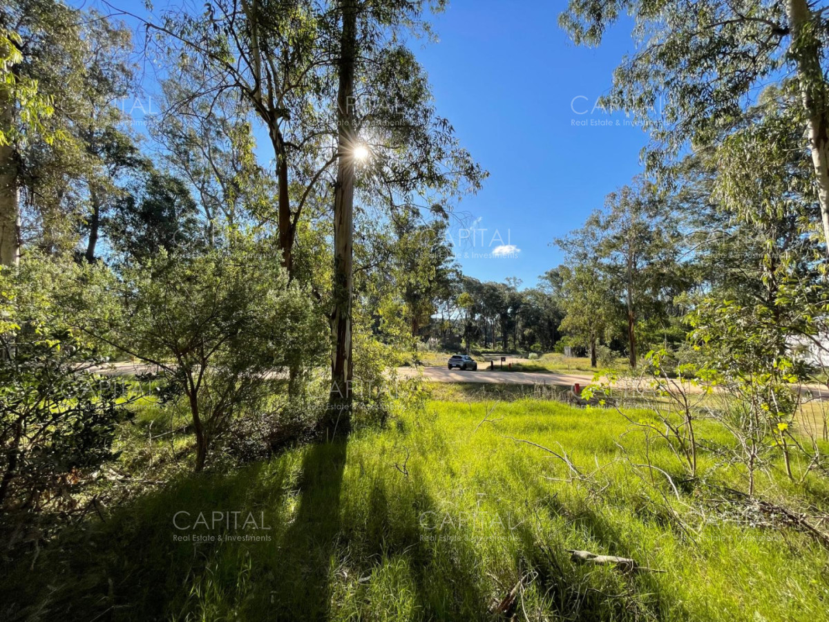 Terreno ID.40411 - Lote en venta en barrio cerrado Reserva Montoya en La Barra próximo almar