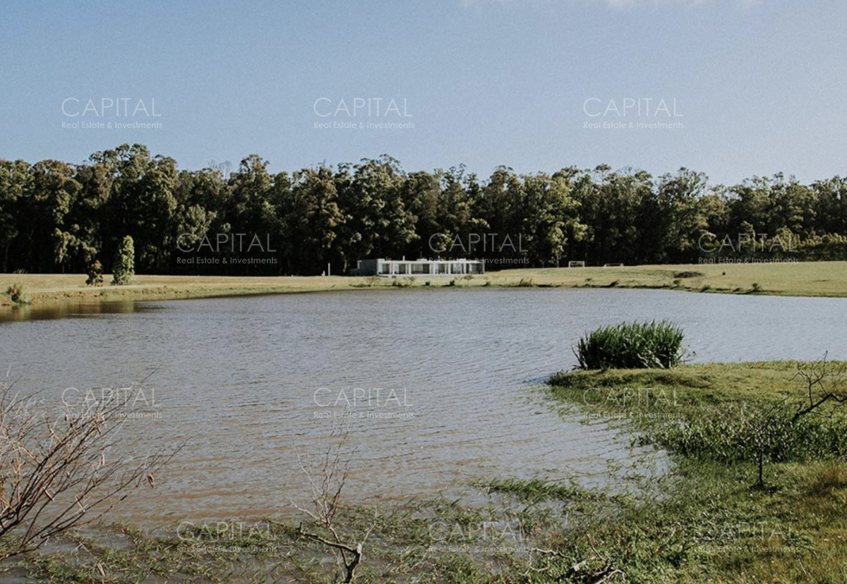 Terreno ID.34346 - Chacra en Venta en Lomas de San Vicente