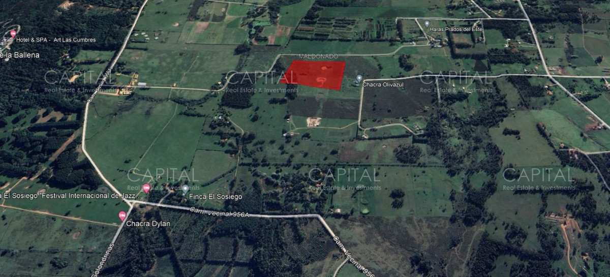 Terreno ID.34719 - Excelente Chacra de 5has en La Pataia