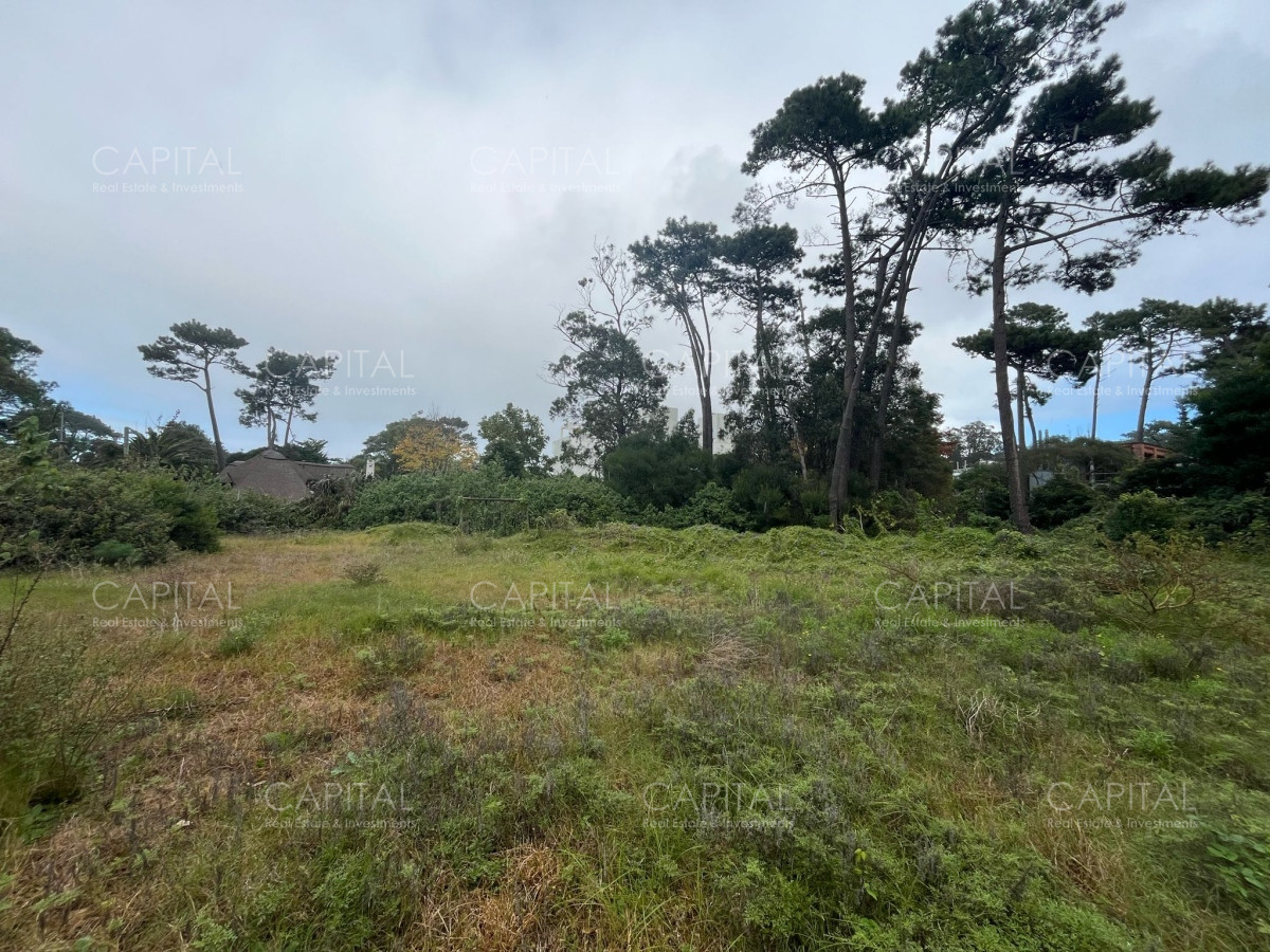 Terreno ID.36263 - Terreno en venta en el Golf de Punta Del Este 
