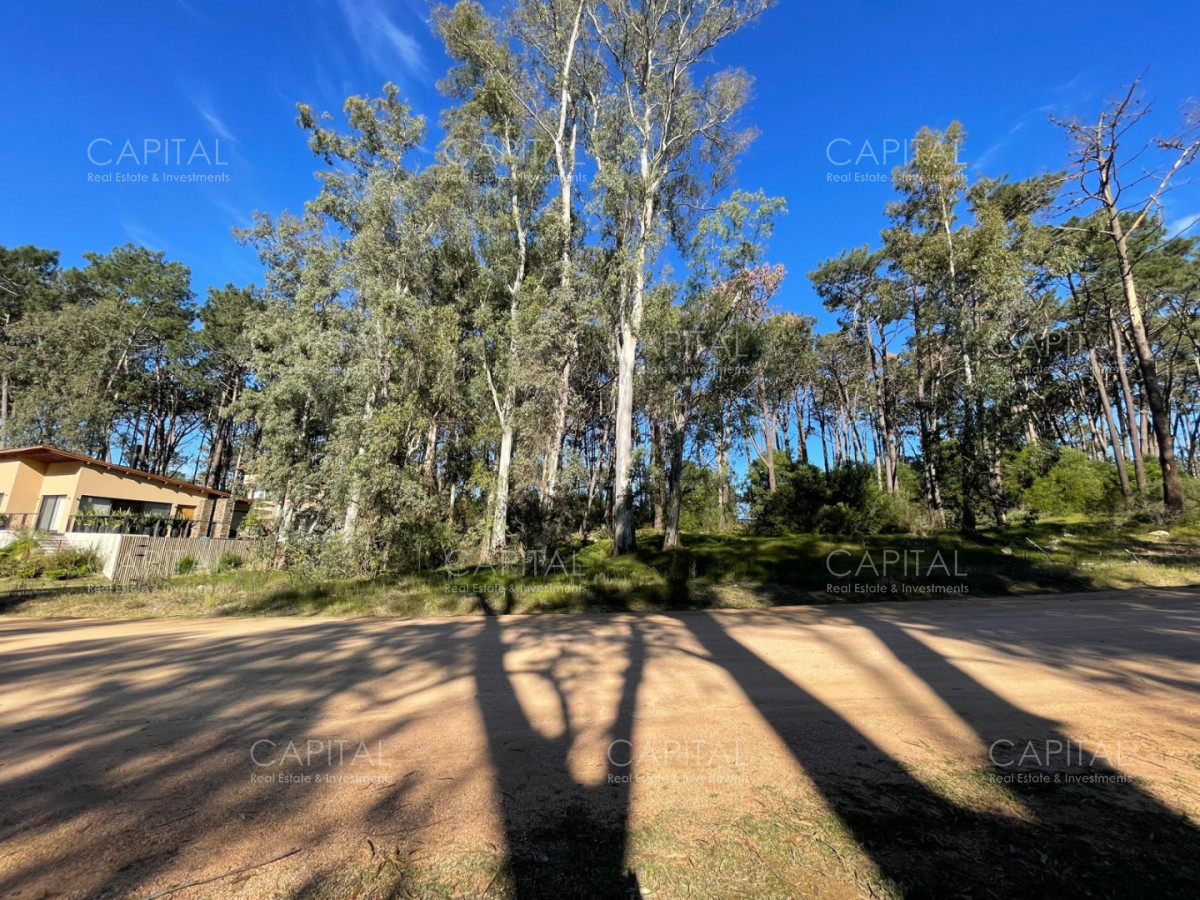 Terreno ID.40412 - Lote en venta en barrio cerrado Reserva Montoya en La Barra 
