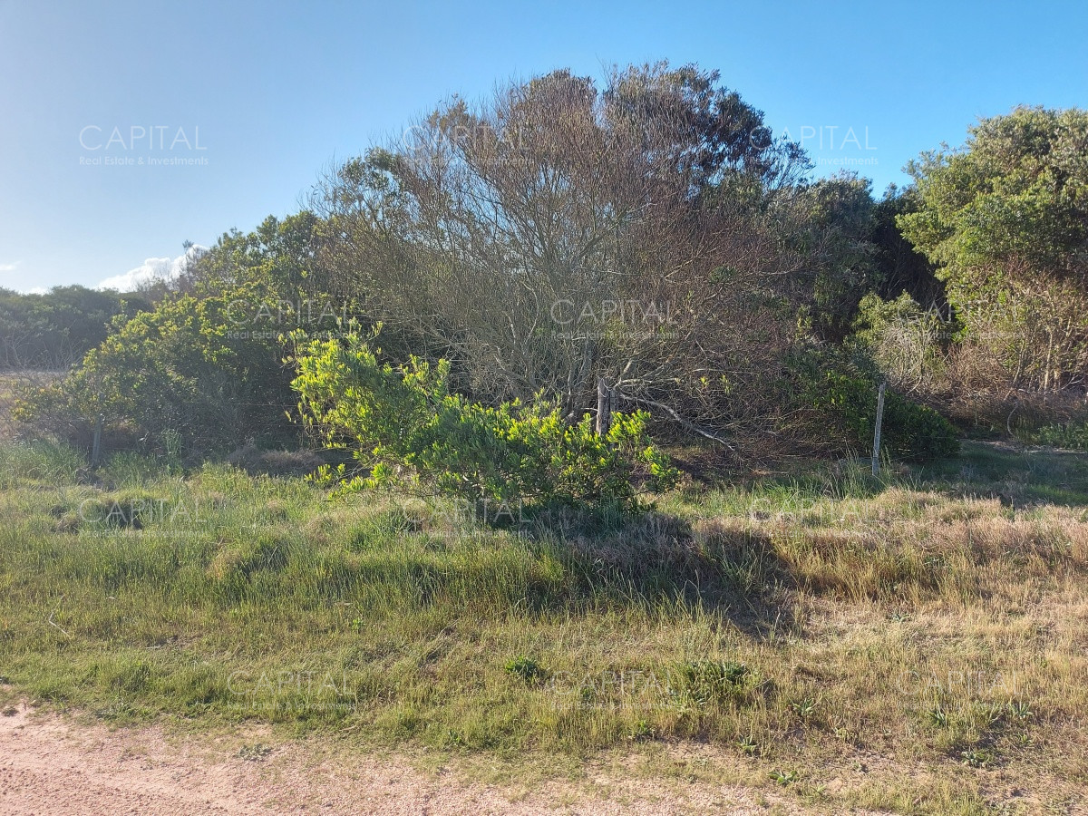 Terreno ID.26316 - Terreno en venta, La Juanita, José Ignacio