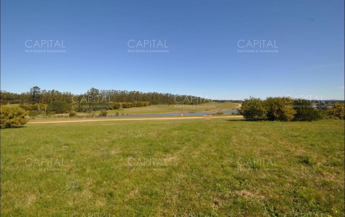 Terreno ID.39631 - Terreno en venta de 4000 mts en Pueblo Mio ruta 104 Manantiales