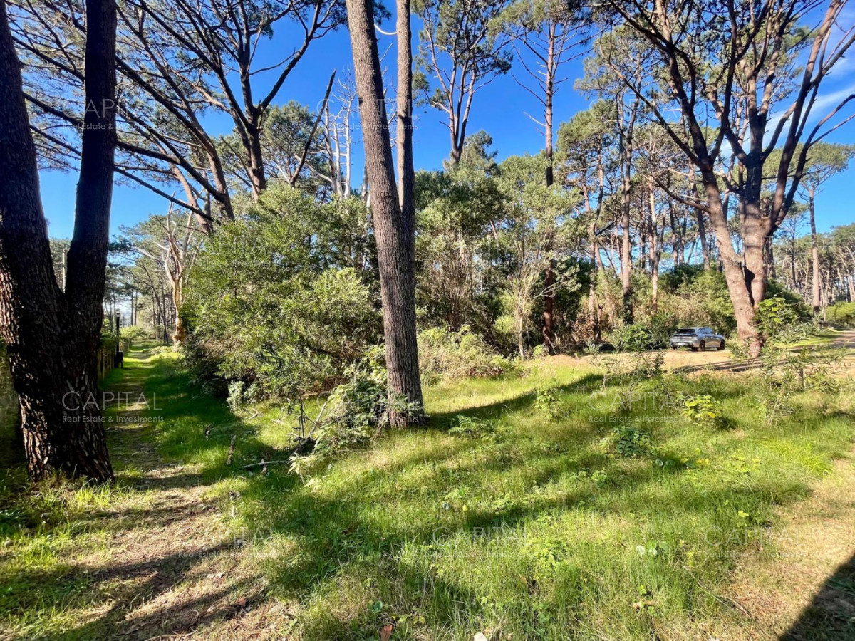 Terreno ID.38189 - Oportunidad Lote en barrio cerrado Reserva Montoya La Barra
