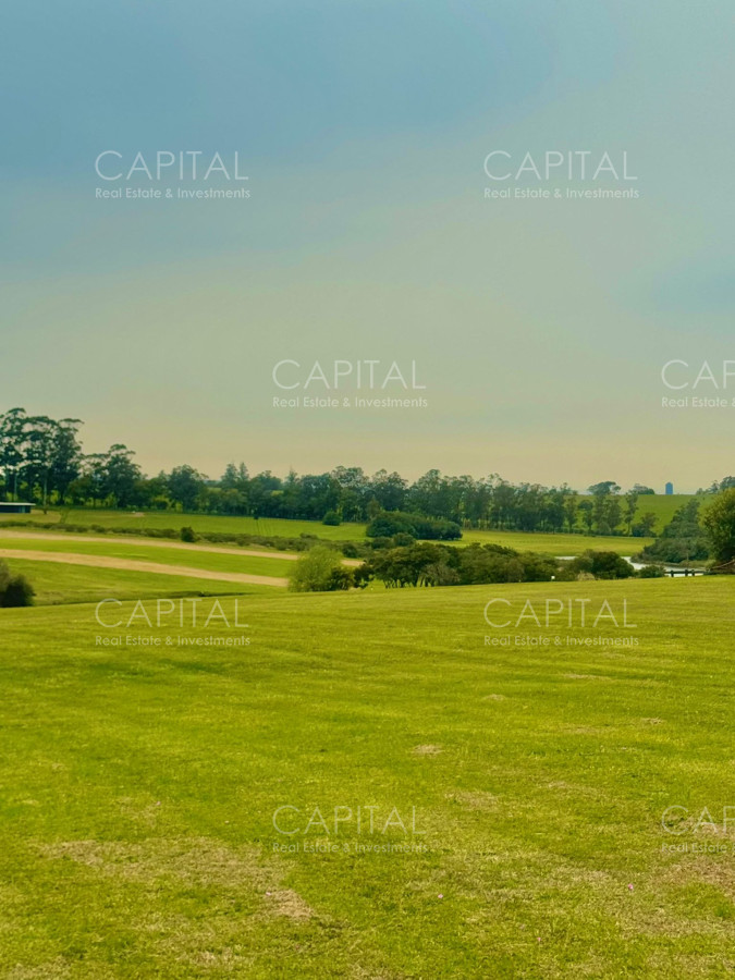 Terreno ID.36923 - Terreno en Venta en Fasano 