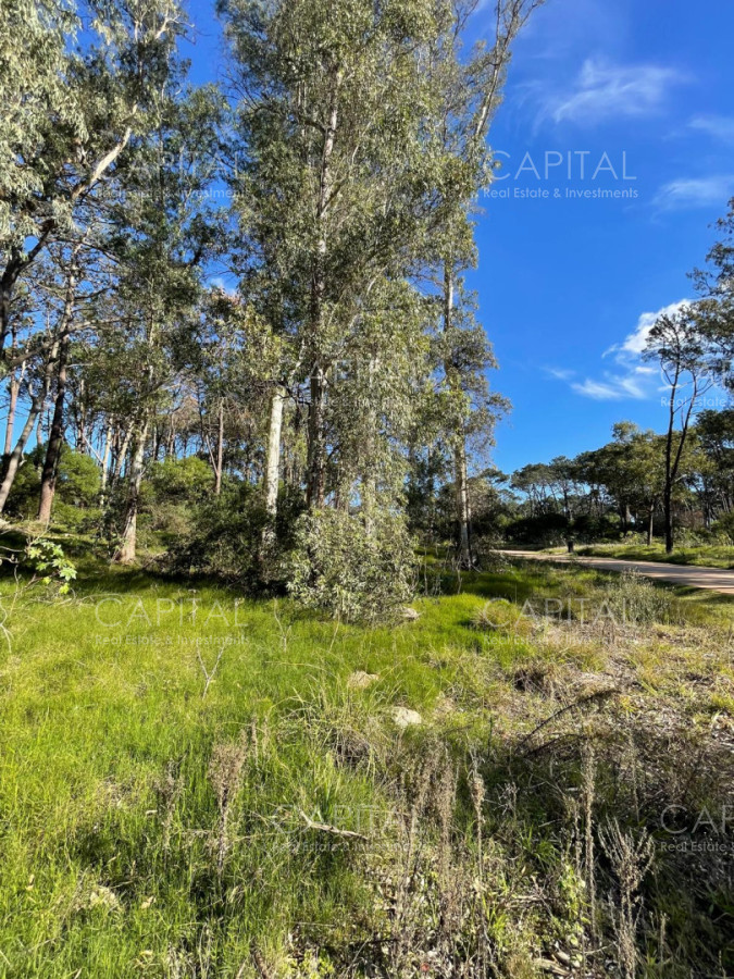 Terreno ID.40411 - Lote en venta en barrio cerrado Reserva Montoya en La Barra próximo almar