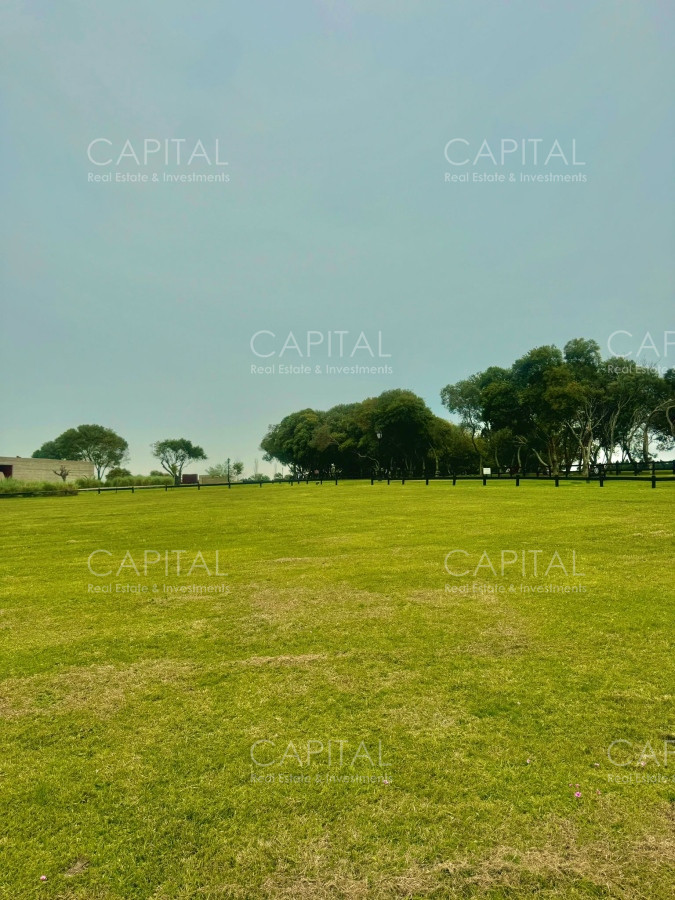 Terreno ID.36923 - Terreno en Venta en Fasano 