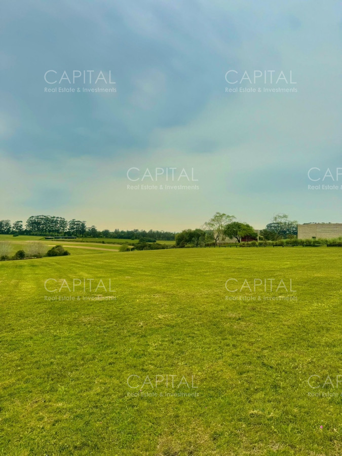 Terreno ID.36923 - Terreno en Venta en Fasano 