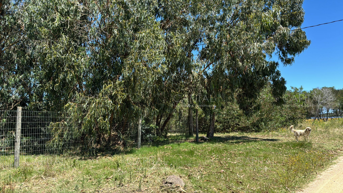 Terreno ID.37313 - Terreno en venta en Santa Monica Jose Ignacio