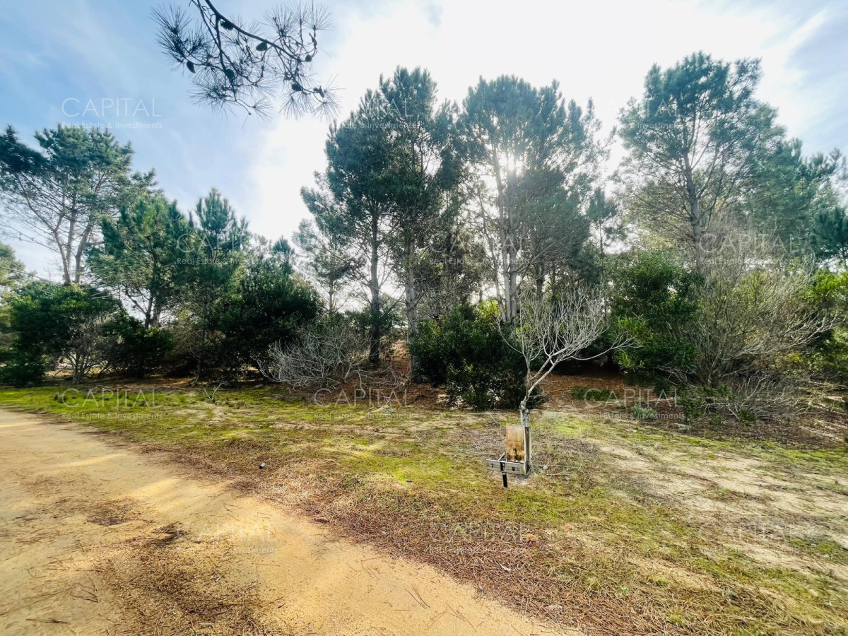 Terreno ID.32208 - Barrio Privado en Jose Ignacio 