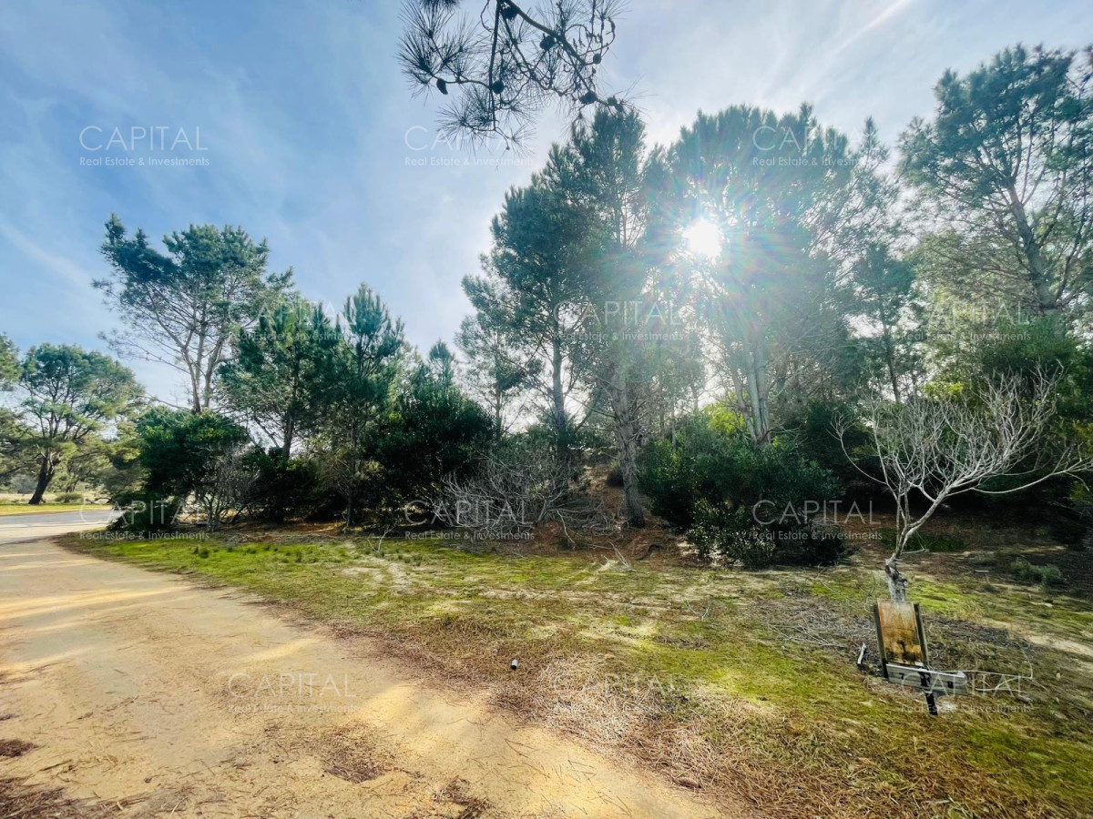 Terreno ID.32208 - Barrio Privado en Jose Ignacio 