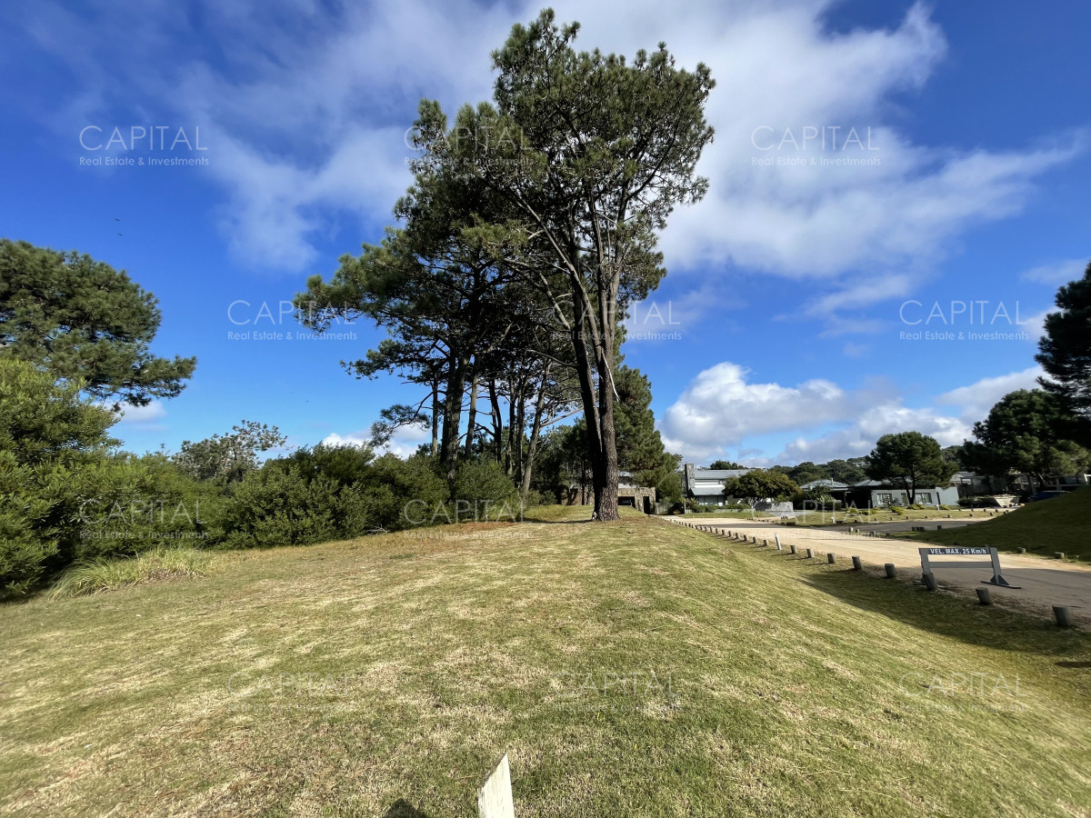 Terreno ID.35013 - Venta de terreno en Pinar Del Faro, José Ignacio 