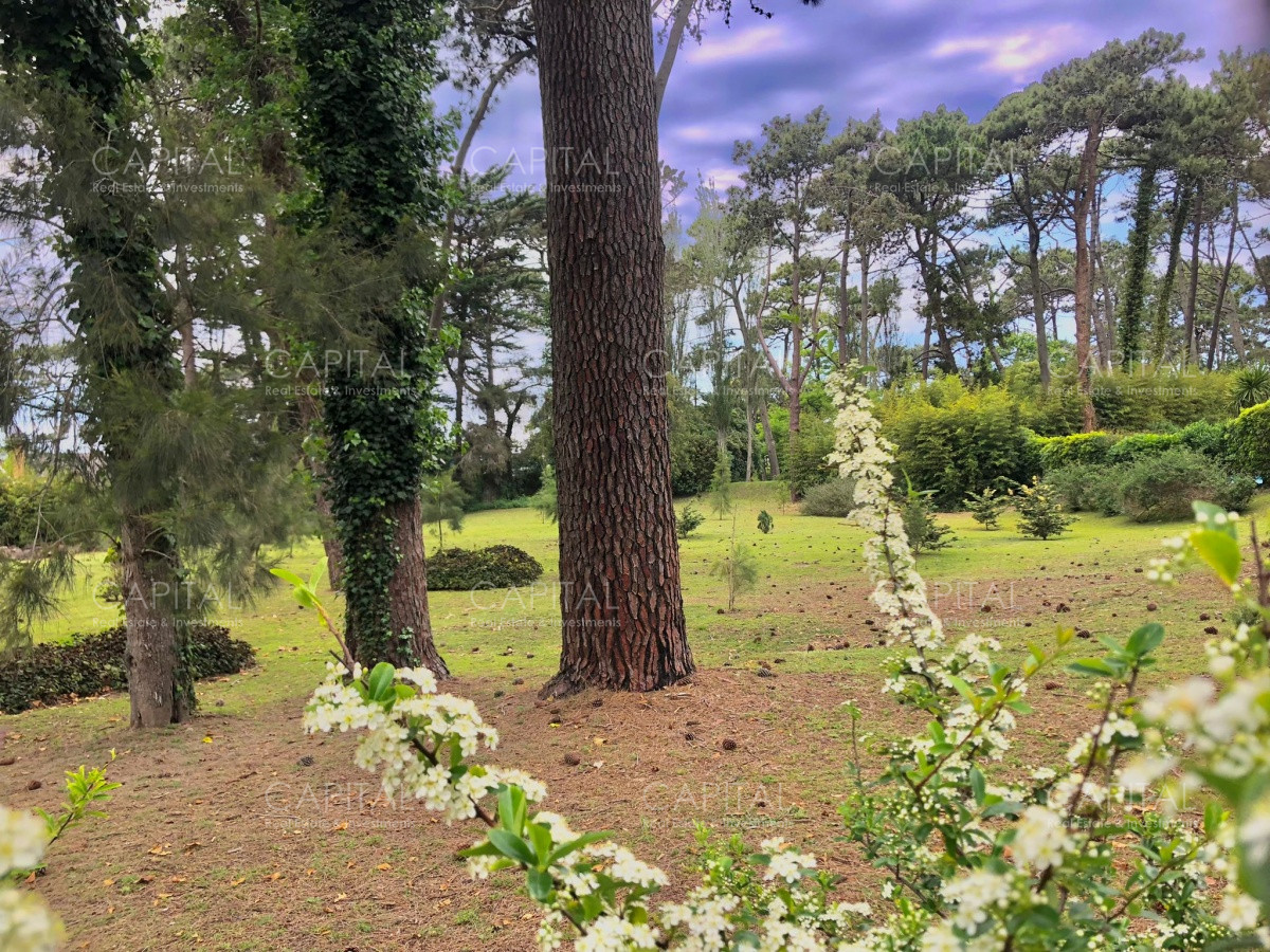 Terreno ID.33552 - Lote en venta en Playa Brava, Punta del Este