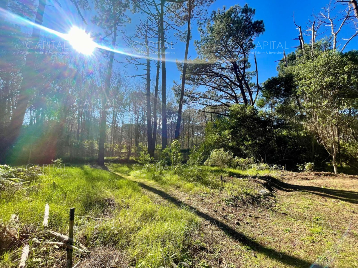 Terreno ID.38189 - Oportunidad Lote en barrio cerrado Reserva Montoya La Barra