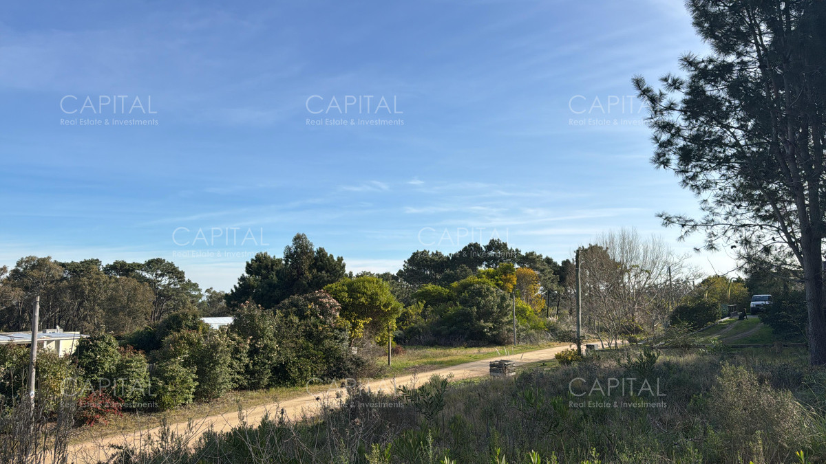 Terreno ID.38786 - Lote en venta en Club de La Barra próximo al centro de la Barra
