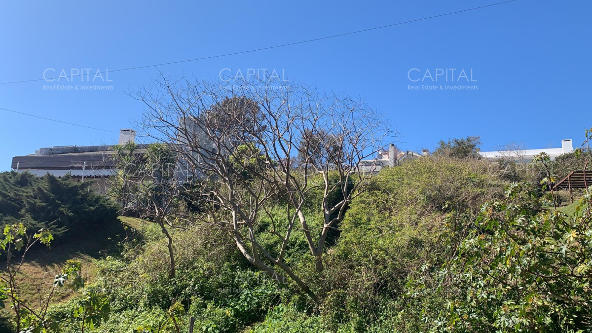 Terreno ID.27089 - Punta Ballena Terreno en Venta 