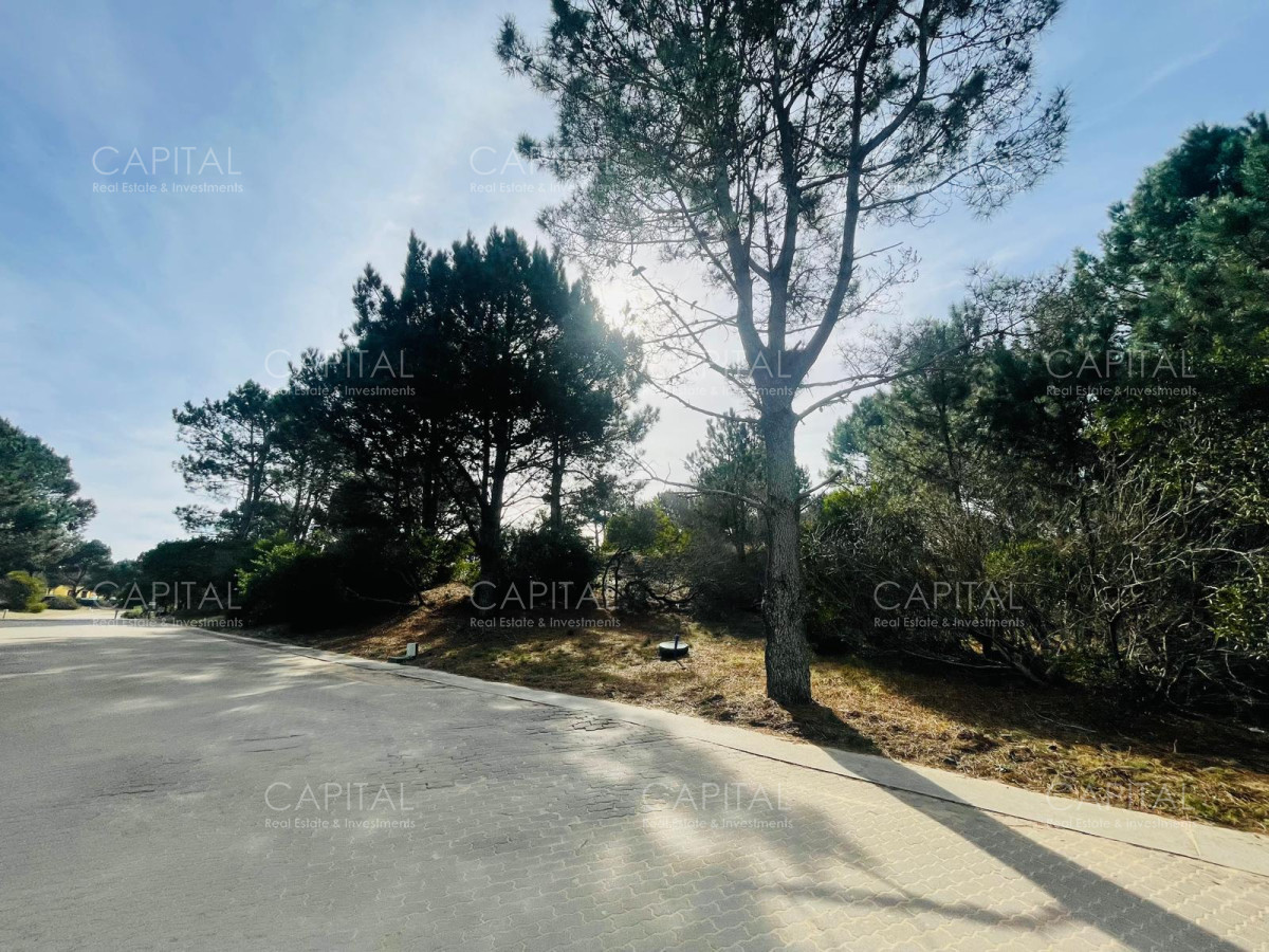 Terreno ID.32228 - Lote en venta en José Ignacio 