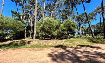 Lote en Reserva de Montoya La Barra