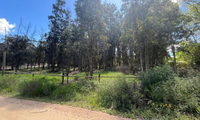 Terreno 2.000 mts en Miramar Acres