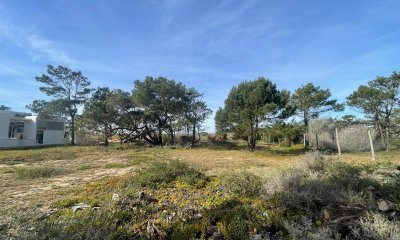 Laguna Escondida barrio privado Jose Ignacio