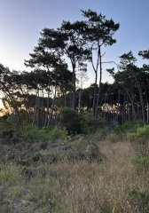 Terreno Esquinero en Venta en Club de La Barra - Apto PH
