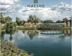 NATIVO – JOSÉ IGNACIO