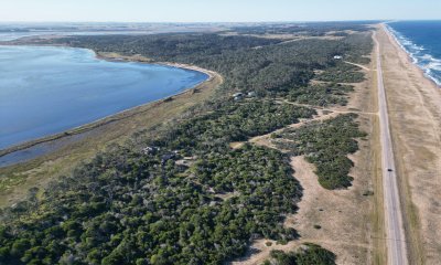 Primera linea en el caracol