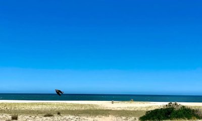 Lote Primera Linea Frente al Mar en Montoya, La Barra, Punta del Este en Venta, Ideal para Edificaciones e Inversores