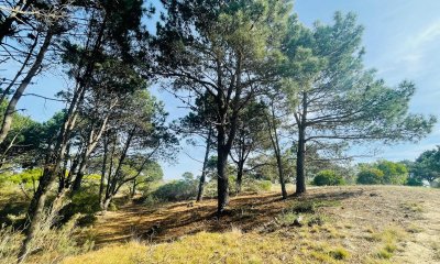 Laguna Escondida barrio cerrado en Jose Ignacio