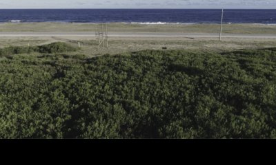 Terreno En Venta El Caracol, Laguna Garzon