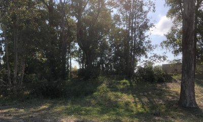 Lote en Barrio Privado La Arbolada, Punta del Este