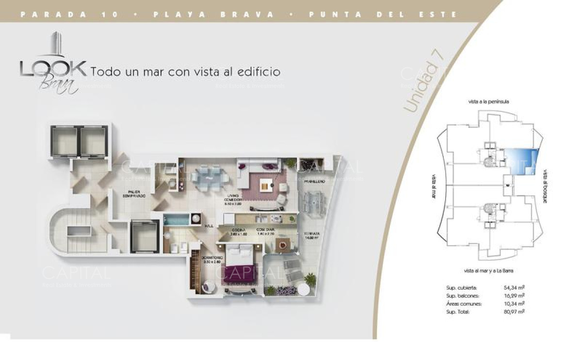 Apartamento ID.27548 - Apartamento en Venta y Alquiler en Playa Brava Punta del Este