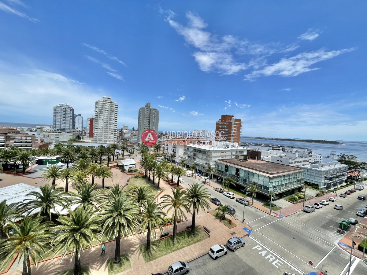 Apartamento ID.6806 - Pleno centro peninsula Torre de Categoría  