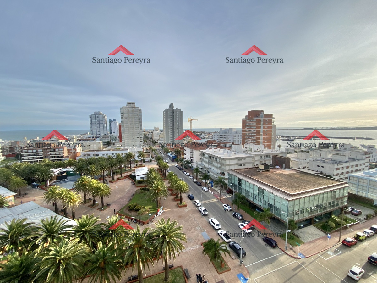 Apartamento ID.8665 - peninsula 