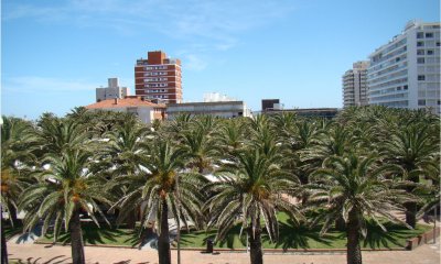 pleno centro peninsula con parrillero alquiler de verano