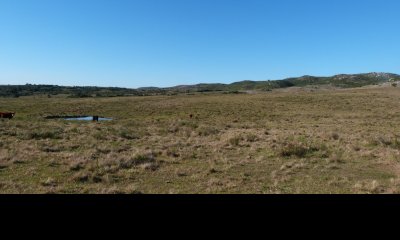 VENTA DE CHACRA EN RUTA 39 SAN CARLOS
