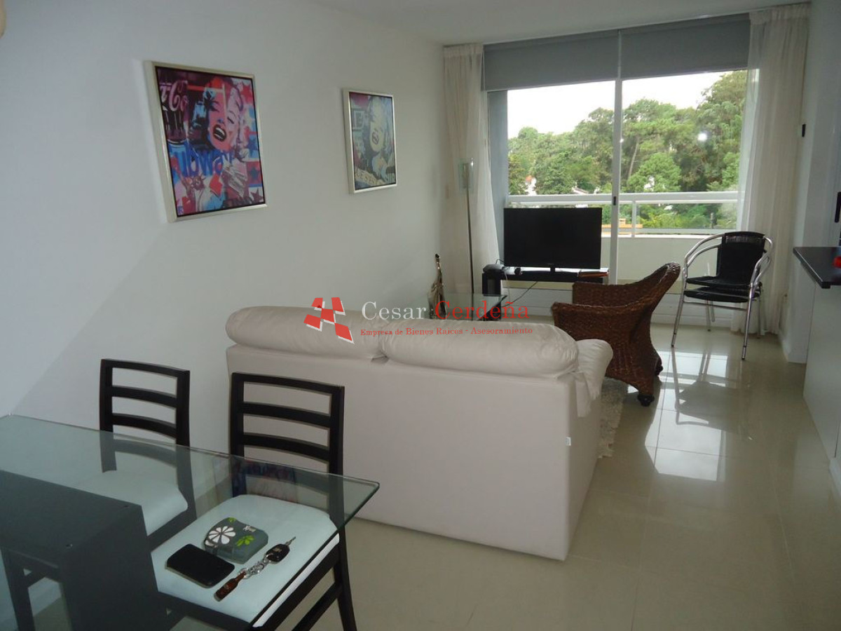 Apartamento ID.495 - Apartamento en Roosevelt, 1 dormitorios *