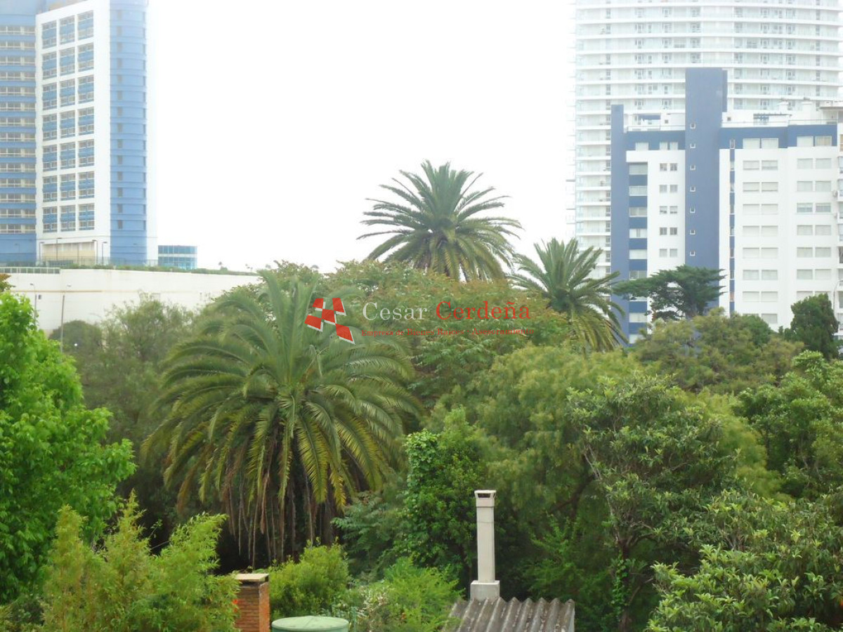 Apartamento ID.533 - Apartamento en Aidy Grill, 1 dormitorios *