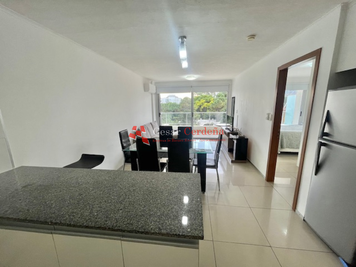 Apartamento ID.337 - VENTA - Apartamento penthouse 1 dormitorio y medio