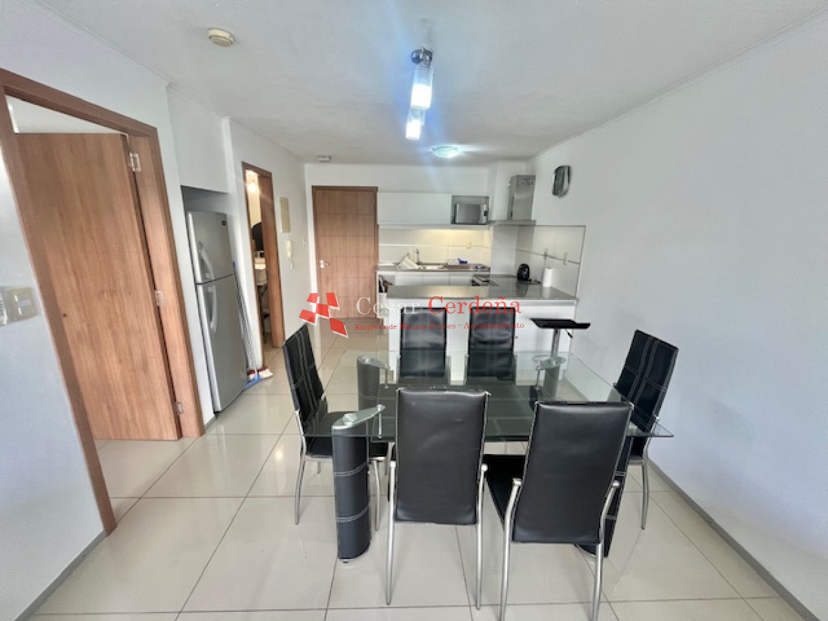 Apartamento ID.337 - VENTA - Apartamento penthouse 1 dormitorio y medio