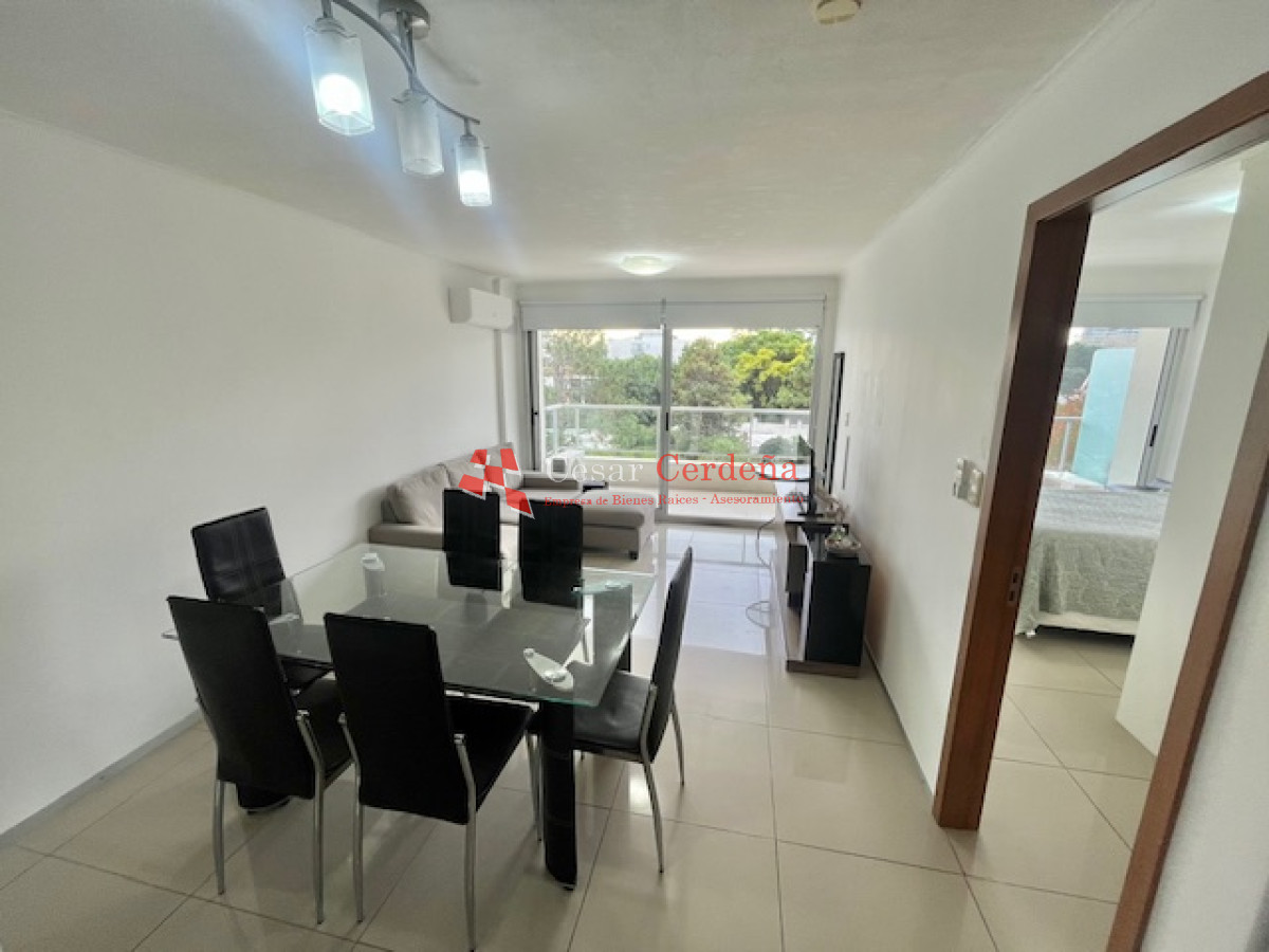 Apartamento ID.337 - VENTA - Apartamento penthouse 1 dormitorio y medio