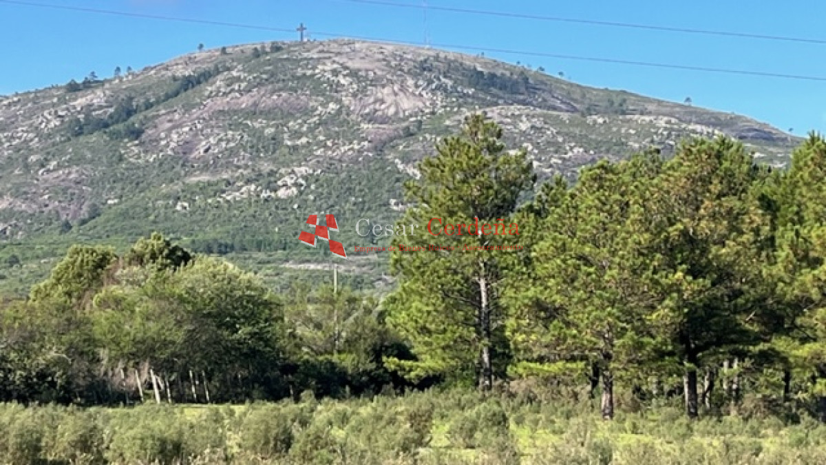 VENTA -Chacra de 7 hectáreas en Cerro Pan de Azucar - CCB1791H