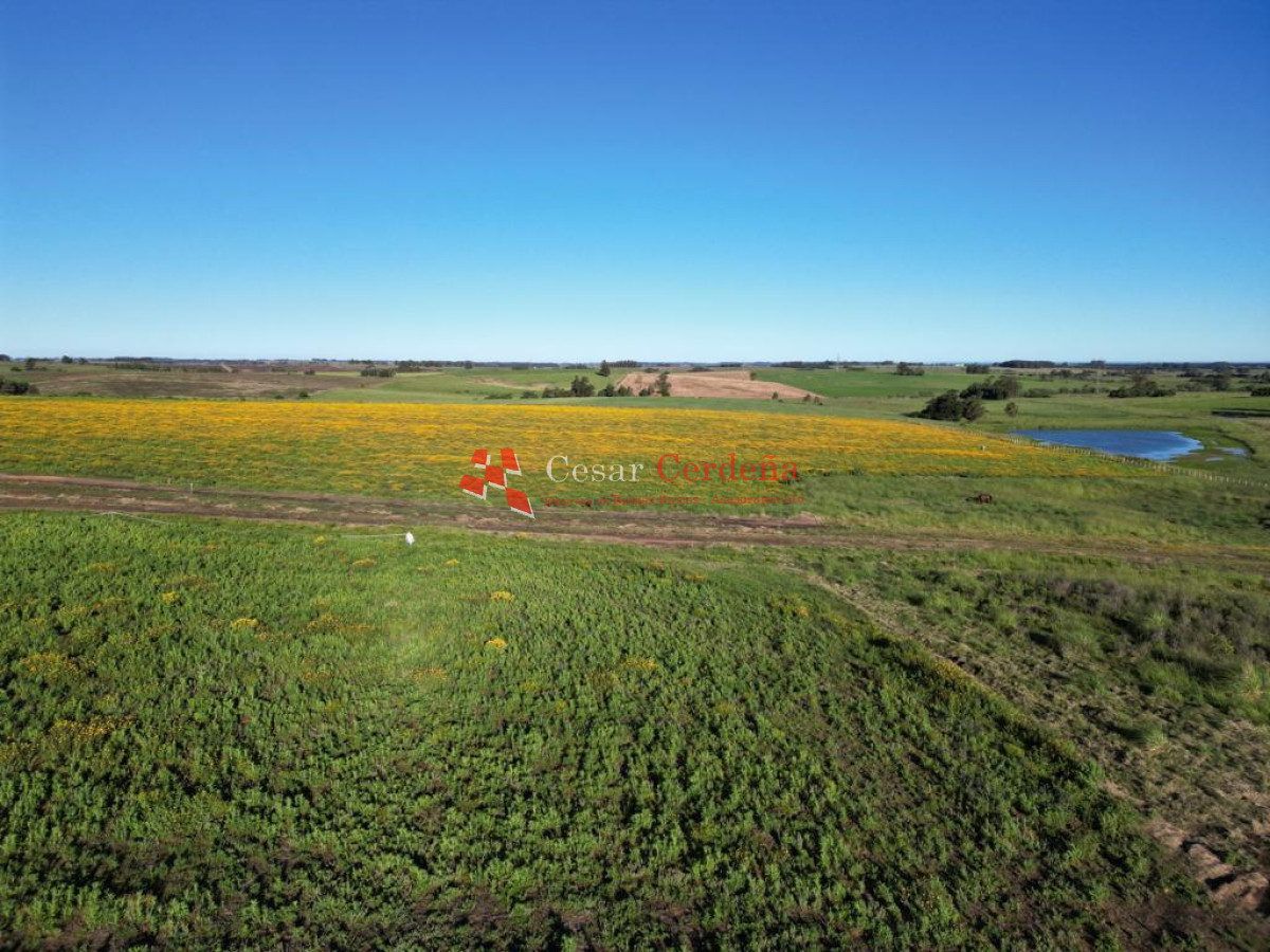 Chacra ID.1839 - VENTA - Chacras en Jose Ignacio rural, complejo Los Zainos, ruta 9