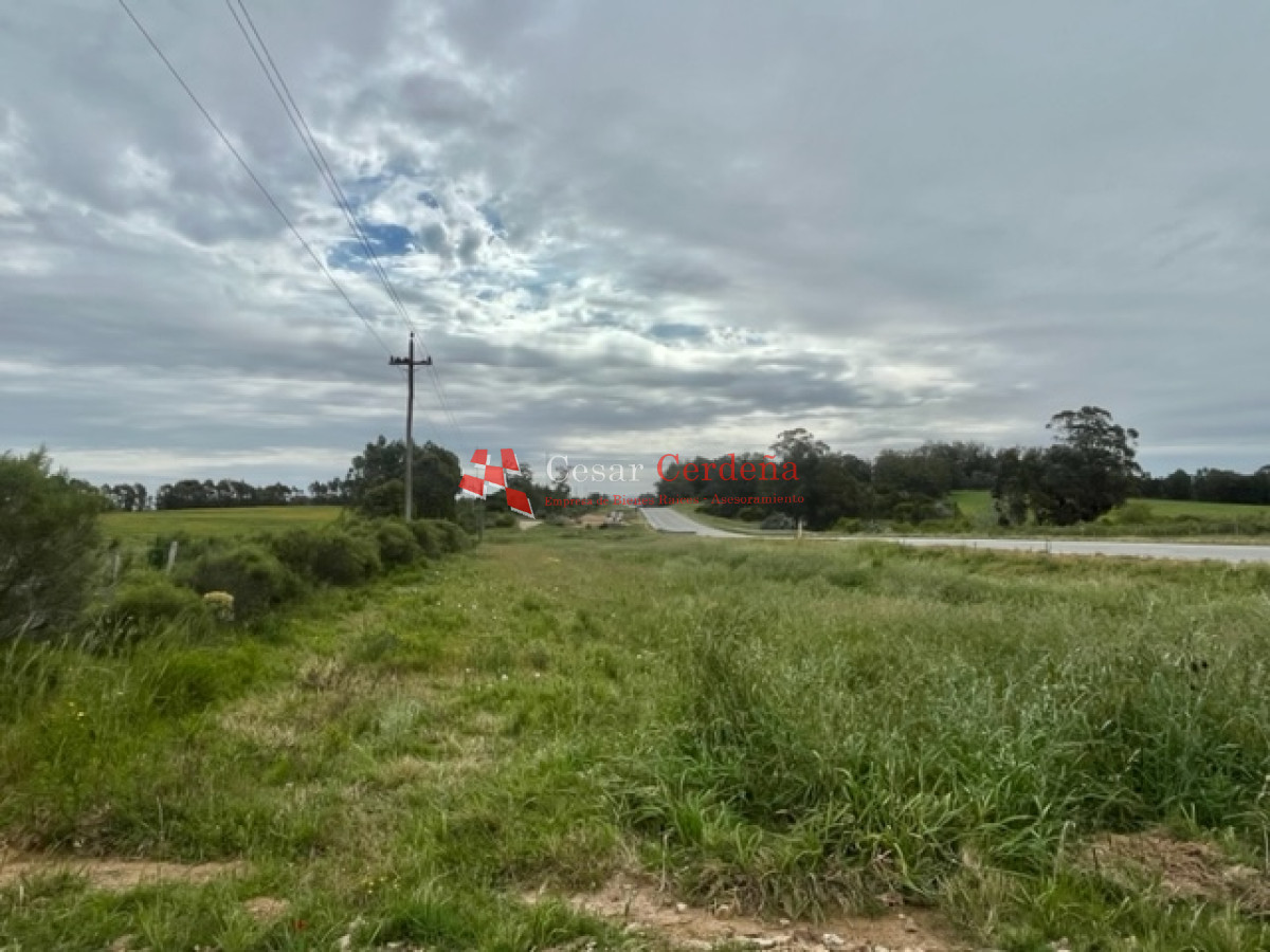 Chacra ID.1839 - VENTA - Chacras en Jose Ignacio rural, complejo Los Zainos, ruta 9
